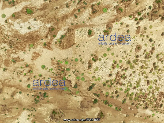  : Cracked earth and dried up ground with sparse desert vegetation
