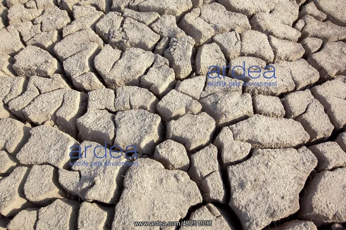 : Cracked Earth parched by the sun and drought : Cracked Earth parched by the sun and drought