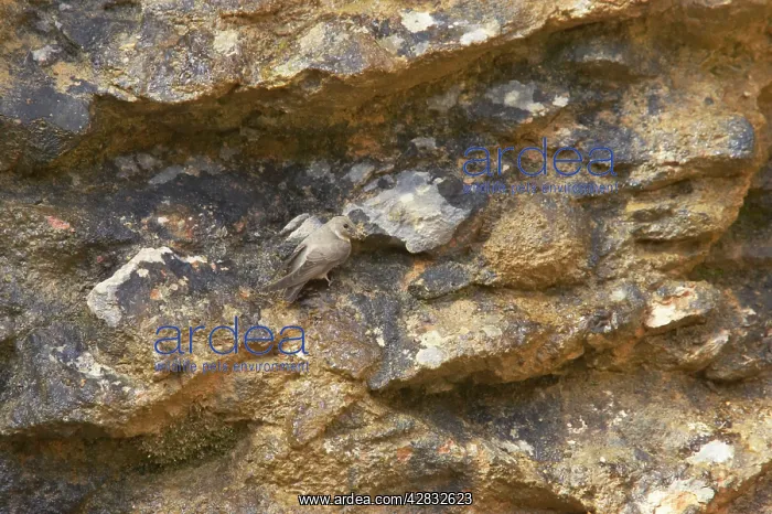 : Crag Martin - on crag : Crag Martin - on crag
