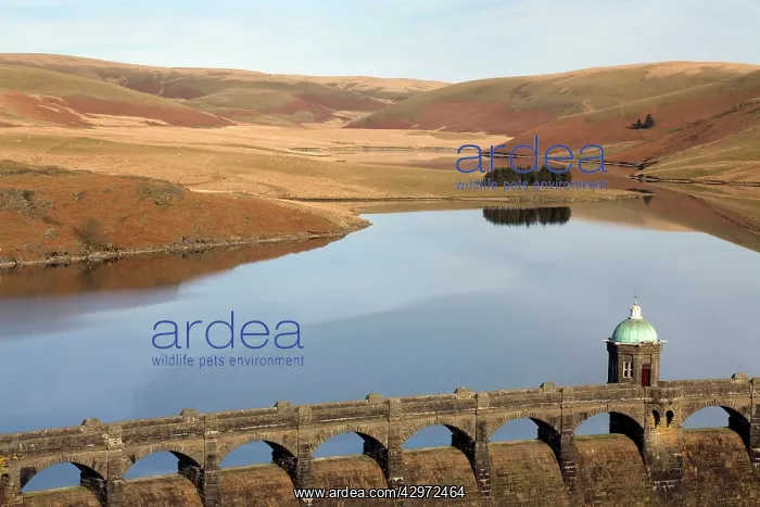 : Craig Goch Dam - close up showing tower and arches : Craig Goch Dam - close up showing tower and arches