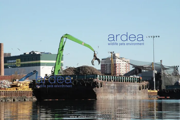 : Crane Loading Barge, Newtown Creek, NYC : Crane Loading Barge, Newtown Creek, NYC