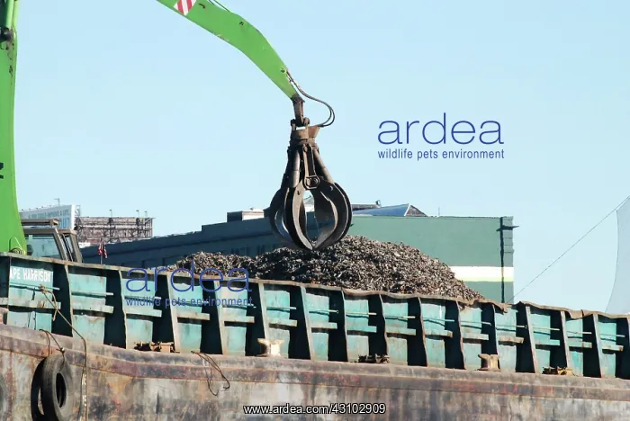 : Crane Loading Barge, Newtown Creek, NYC : Crane Loading Barge, Newtown Creek, NYC