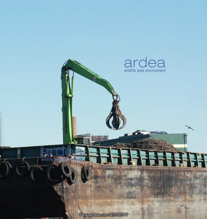 : Crane Loading Barge, Newtown Creek, NYC : Crane Loading Barge, Newtown Creek, NYC