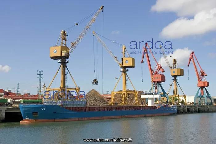 : Cranes on quayside unloading scrap metal from : Cranes on quayside unloading scrap metal from