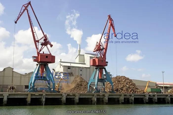 : Cranes on quayside unloading scrap metal into trucks : Cranes on quayside unloading scrap metal into trucks