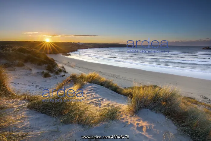 : Crantock - Sunset - Cornwall - UK : Crantock - Sunset - Cornwall - UK