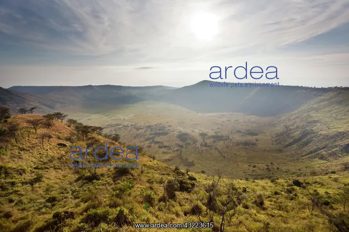  : The Crater Area in Queen Elizabeth National
