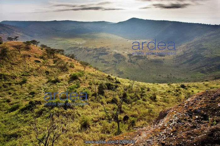 : The Crater Area in Queen Elizabeth National : The Crater Area in Queen Elizabeth National
