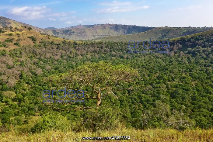 : The Crater Area in Queen Elizabeth National : The Crater Area in Queen Elizabeth National