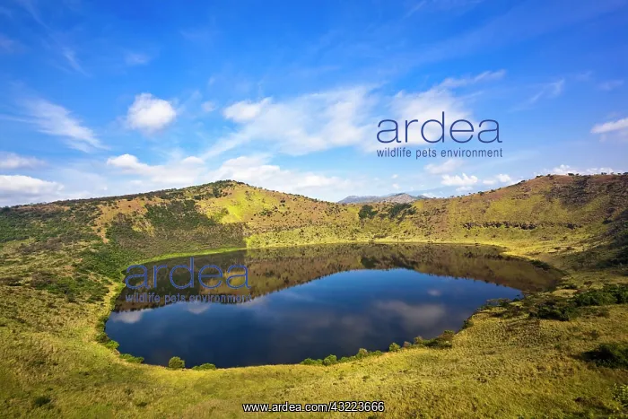 : The Crater Area in Queen Elizabeth National : The Crater Area in Queen Elizabeth National