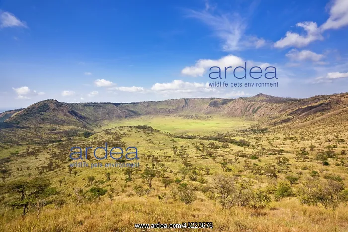 : The Crater Area in Queen Elizabeth National : The Crater Area in Queen Elizabeth National