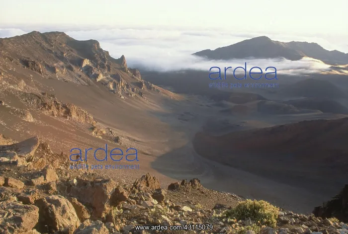 : Crater, Haleakala National Park, Maui, Hawaii : Crater, Haleakala National Park, Maui, Hawaii