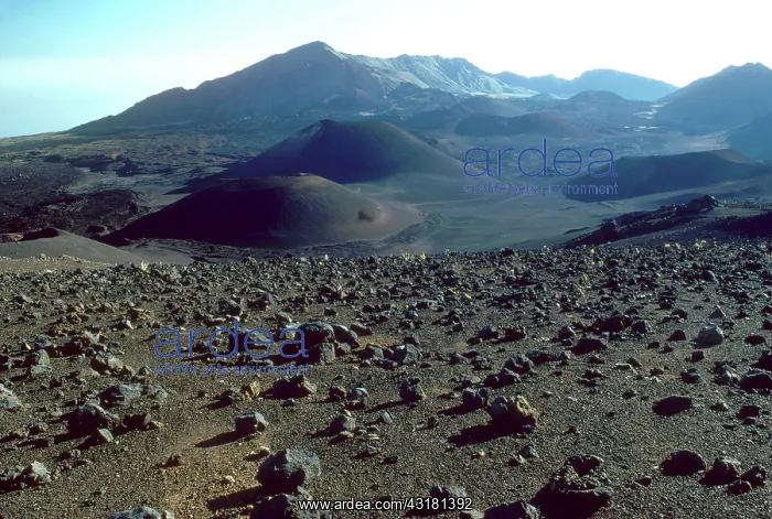 : Crater, Haleakala National Park, Maui, Hawaii : Crater, Haleakala National Park, Maui, Hawaii