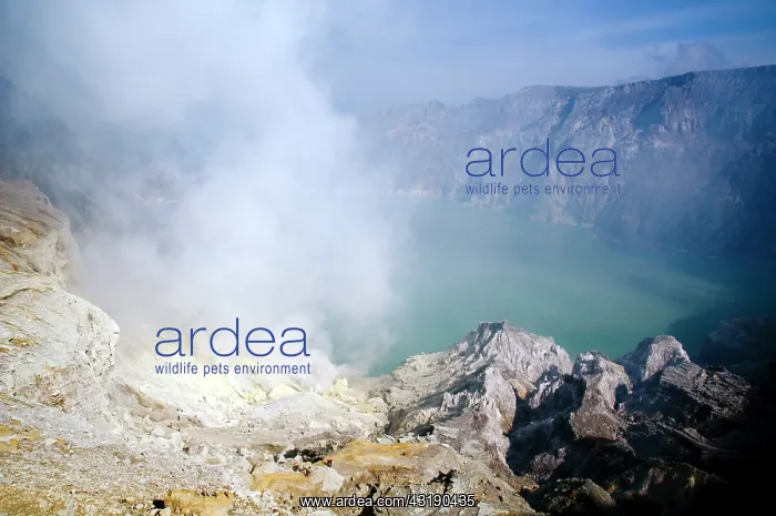 : The crater of the Ijen volano on Java : The crater of the Ijen volano on Java