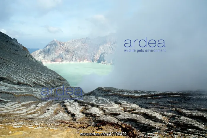 : The crater of the Ijen volano on Java : The crater of the Ijen volano on Java