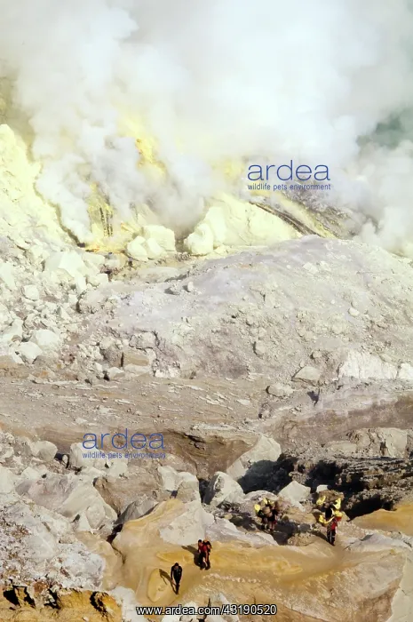 : The crater of the Ijen volano on Java : The crater of the Ijen volano on Java