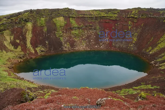 : Crater Kerio, Crimsnes, Sudhurland, Iceland : Crater Kerio, Crimsnes, Sudhurland, Iceland