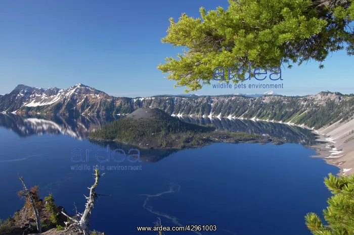 : Crater Lake showing Wizard Island (volcanic cone) : Crater Lake showing Wizard Island (volcanic cone)