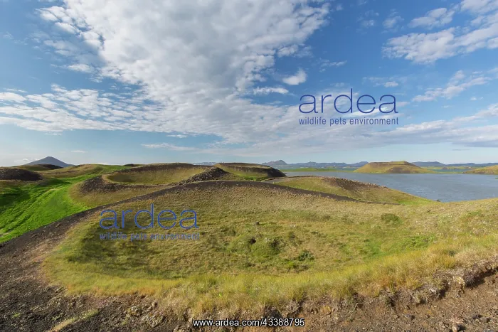: Crater Skutustadir : Crater Skutustadir