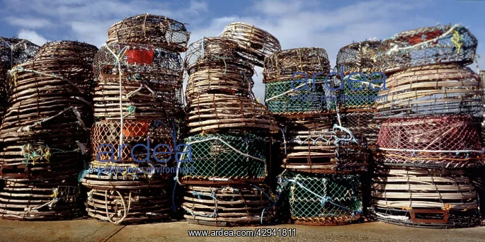 : Craypots, Apollo Bay, Victoria, Australia : Craypots, Apollo Bay, Victoria, Australia