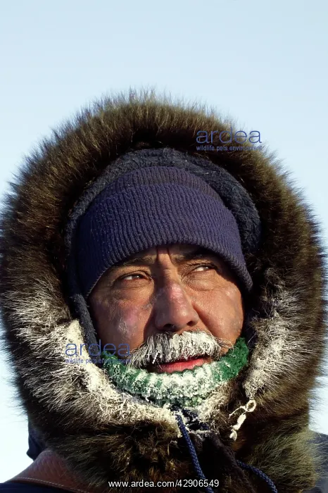 : Cree Indian - close-up of face : Cree Indian - close-up of face