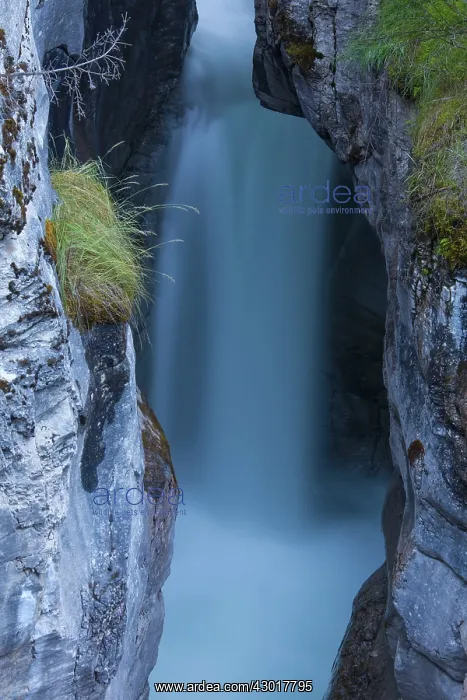  : Creek in the Maligne Canyon