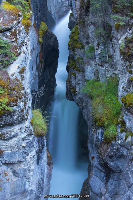  : Creek in the Maligne Canyon