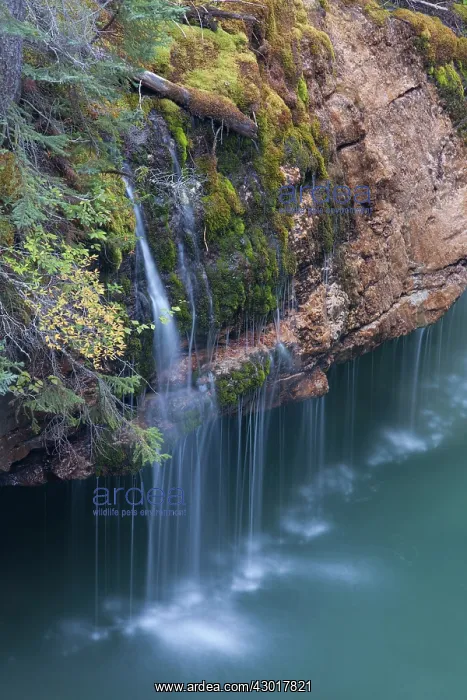  : Creek in the Maligne Canyon