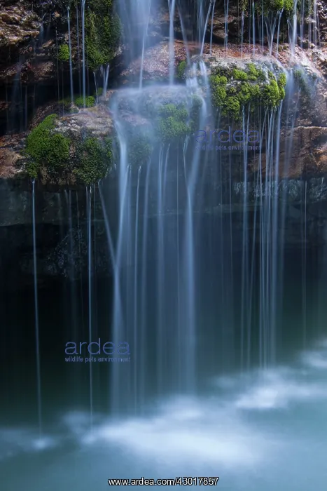  : Creek in the Maligne Canyon