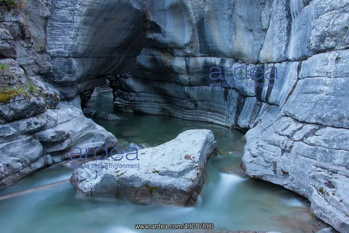  : Creek in the Maligne Canyon
