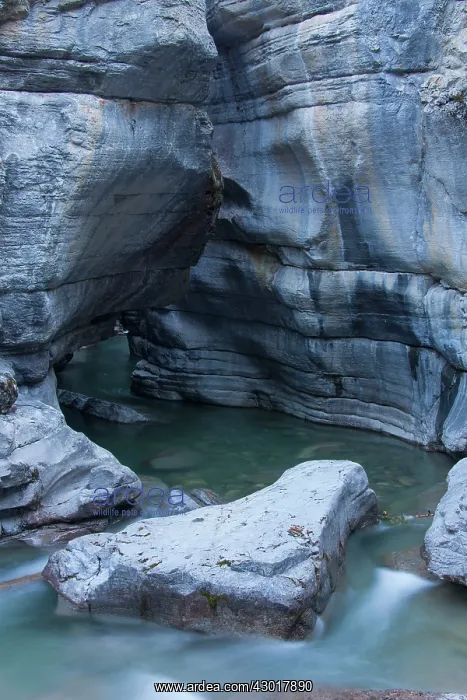  : Creek in the Maligne Canyon