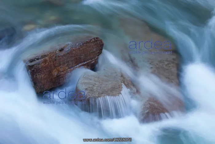  : Creek in the Maligne Canyon