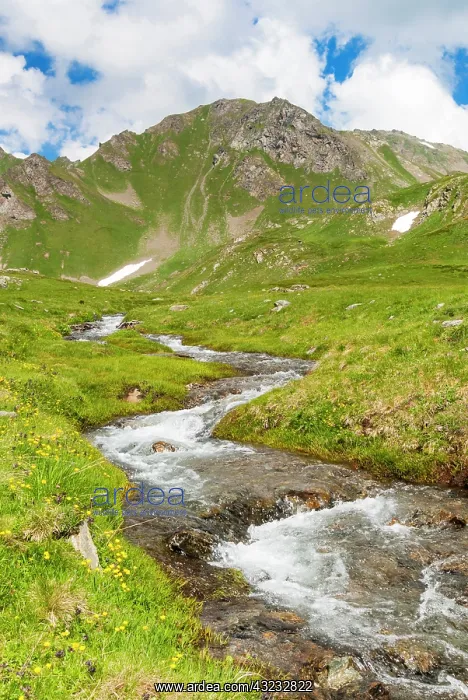 : Creek, Mont Fallere, Aosta Valley, Italian : Creek, Mont Fallere, Aosta Valley, Italian