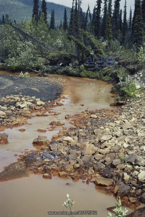 : Creek Red from Iron Oxide : Creek Red from Iron Oxide