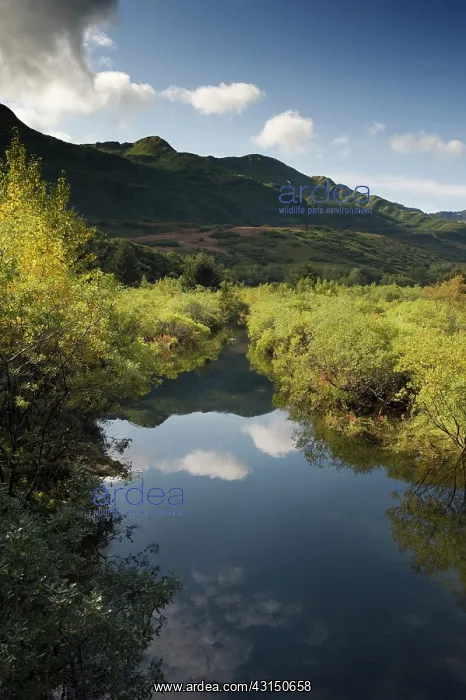 : Creek with reflection in Autumn colors : Creek with reflection in Autumn colors