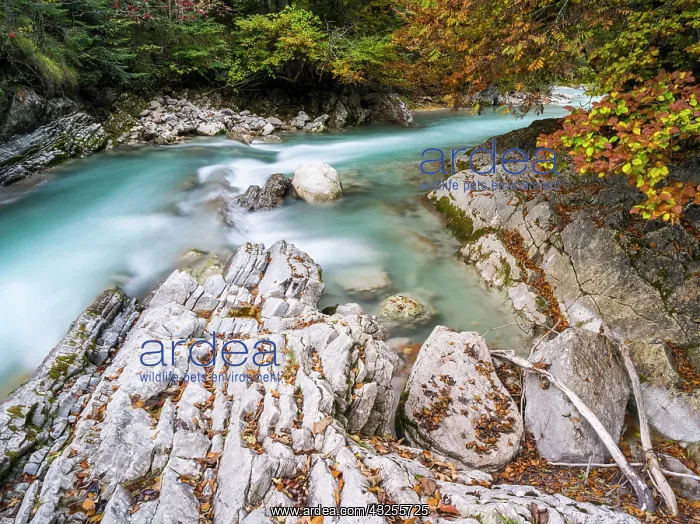 : The creek Rissbach flowing out of the Eng : The creek Rissbach flowing out of the Eng