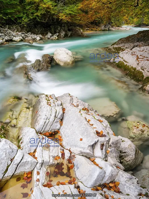 : The creek Rissbach flowing out of the Eng : The creek Rissbach flowing out of the Eng