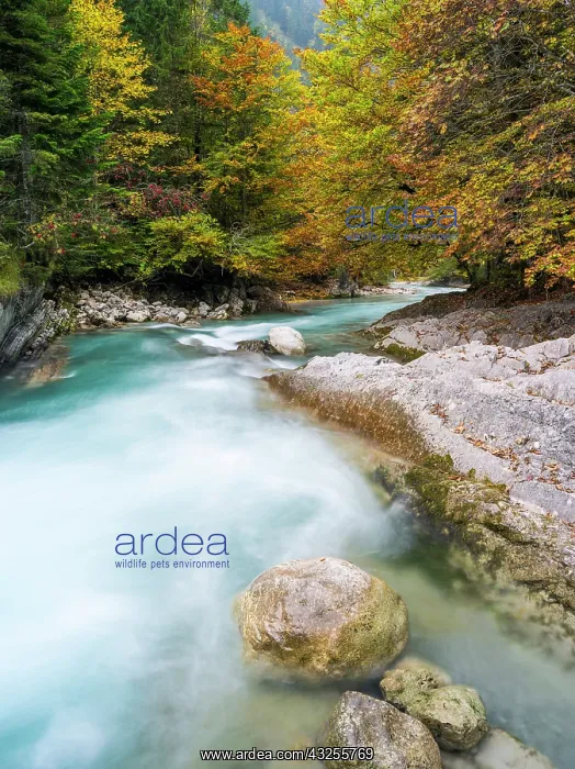 : The creek Rissbach flowing out of the Eng : The creek Rissbach flowing out of the Eng