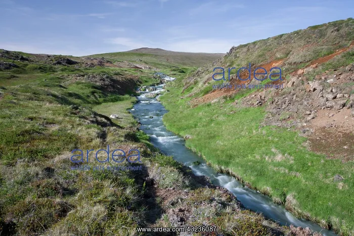 : A creek warmed by hot springs flows near : A creek warmed by hot springs flows near