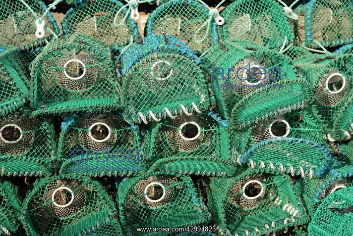 : Creels / Lobster Pots Lindisfarne Harbour, Lindisfarne : Creels / Lobster Pots Lindisfarne Harbour, Lindisfarne