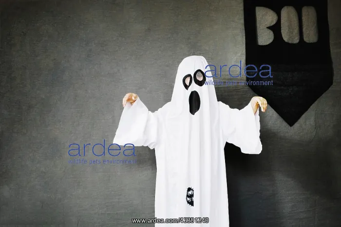 : Creepy ghost boo banner : Creepy ghost boo banner