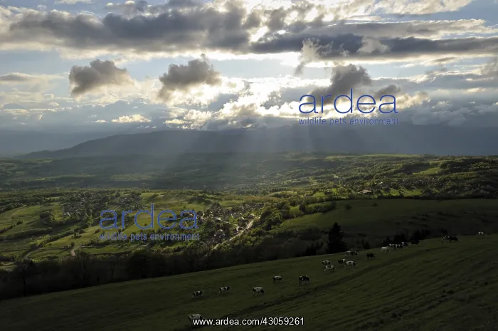 : Crepuscular rays on Prealps France : Crepuscular rays on Prealps France