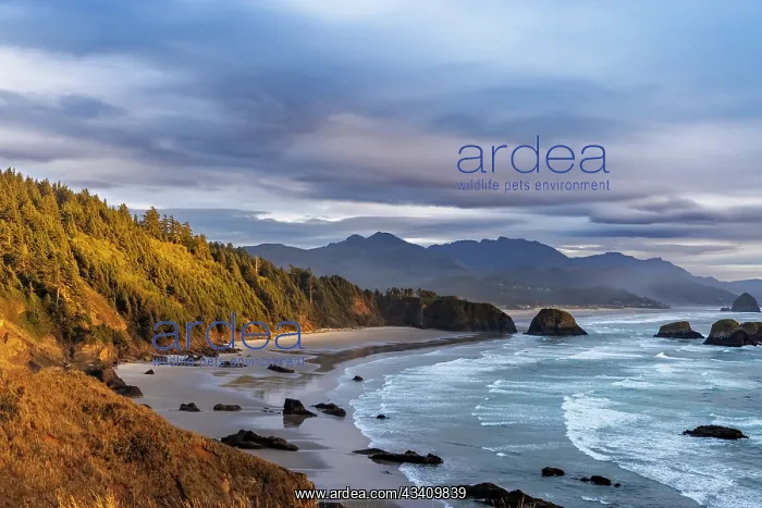 : Crescent Beach at Ecola State Park in Cannon Beach : Crescent Beach at Ecola State Park in Cannon Beach