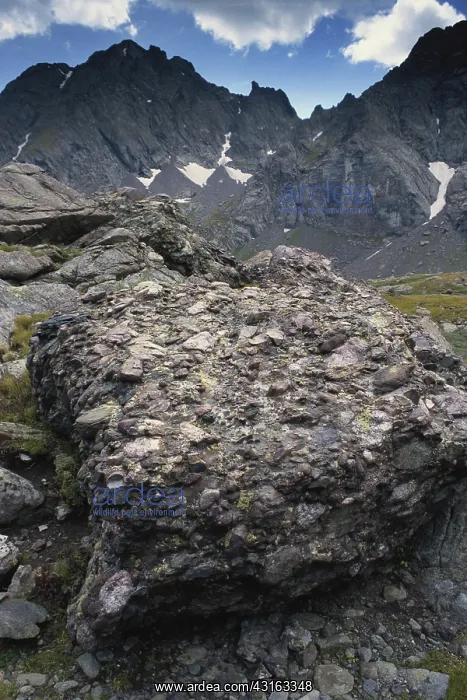  : Crestone Conglomerate