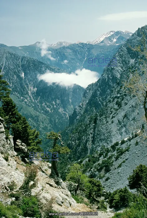 : Crete - White Mountains, top of the Samaria Gorge : Crete - White Mountains, top of the Samaria Gorge