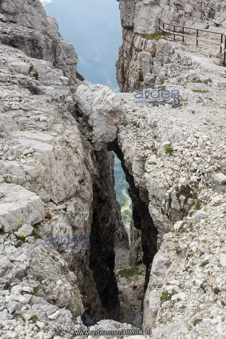  : Crevasse near Rosetta hut, Palle di San Martino