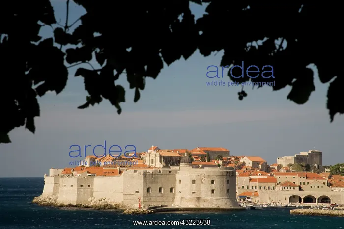 : Croatia, Dalmatia, Dubrovnik. Adriatic Sea : Croatia, Dalmatia, Dubrovnik. Adriatic Sea