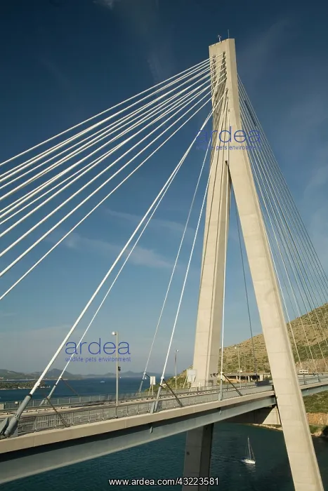 : Croatia, Dalmatia, Dubrovnik. Franjo Tudman : Croatia, Dalmatia, Dubrovnik. Franjo Tudman