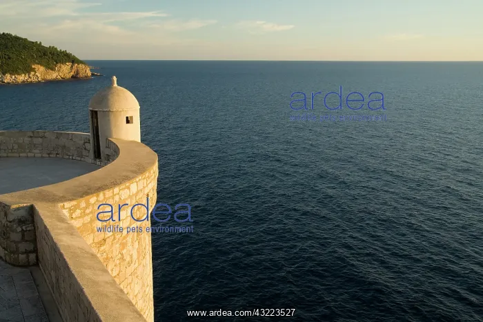 : Croatia, Dalmatia, Dubrovnik. Old city walls : Croatia, Dalmatia, Dubrovnik. Old city walls