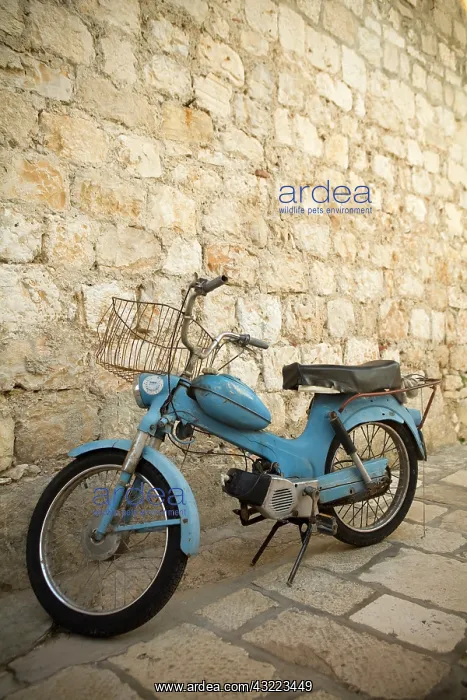 : Croatia, Dalmatia, Hvar Island, Hvar town : Croatia, Dalmatia, Hvar Island, Hvar town